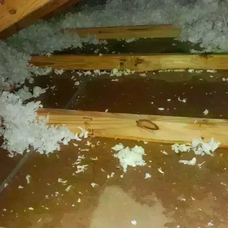 Attic Water Damage in Canton, MO