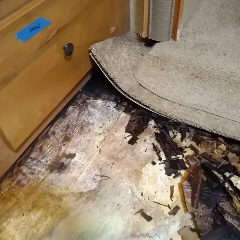 Wood Floor Water Damage in Canton, MO